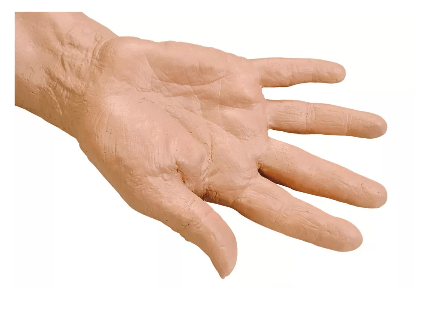 Geriatrischer IV Trainingsarm - Erler - Zimmer